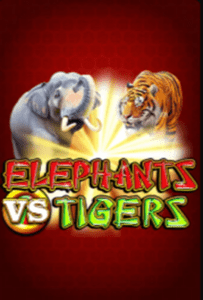 Elephants vs Tigers